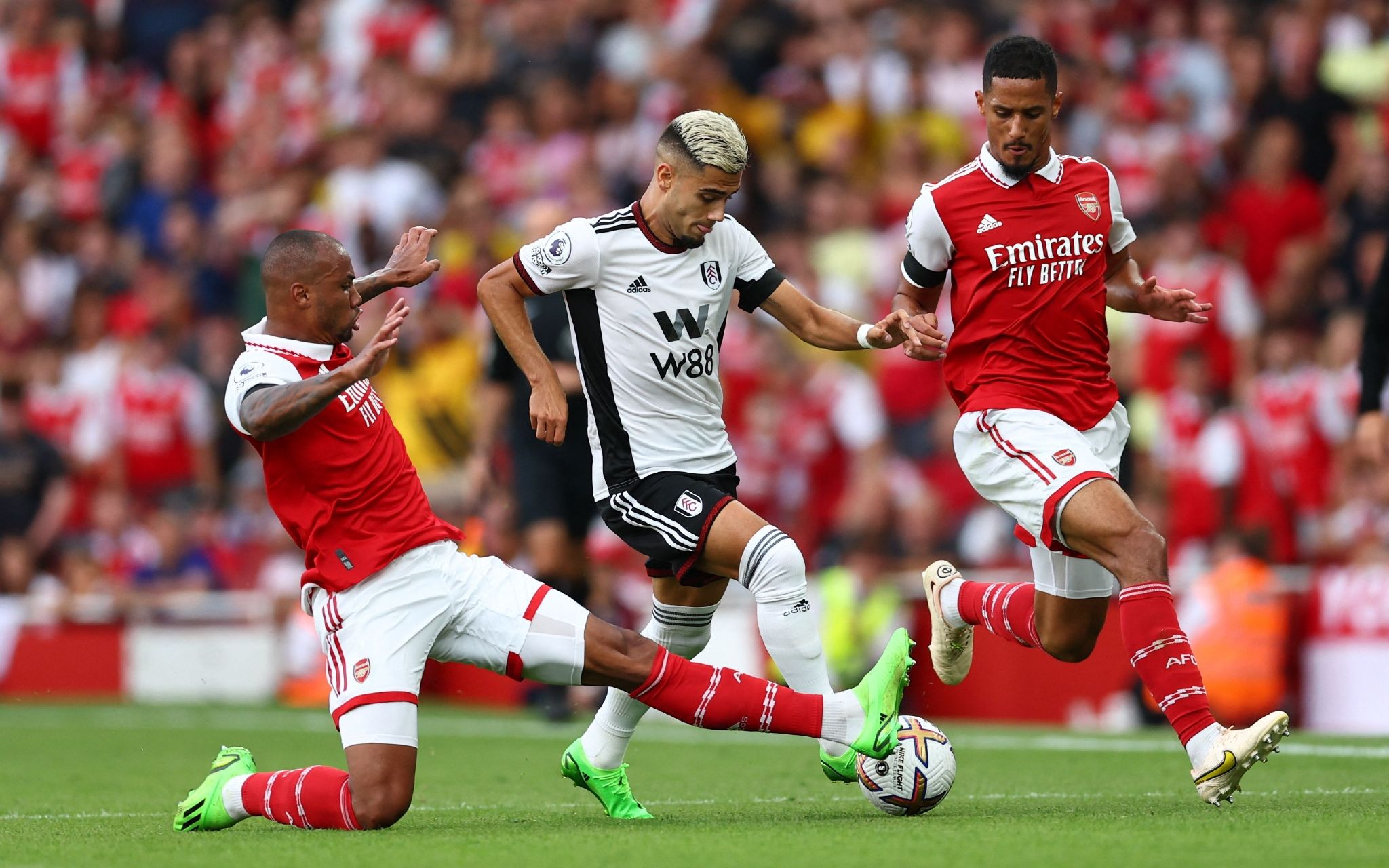 不仅是个人 不仅是个人